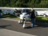 Flugschow St. Stephan 2008 (002).jpg